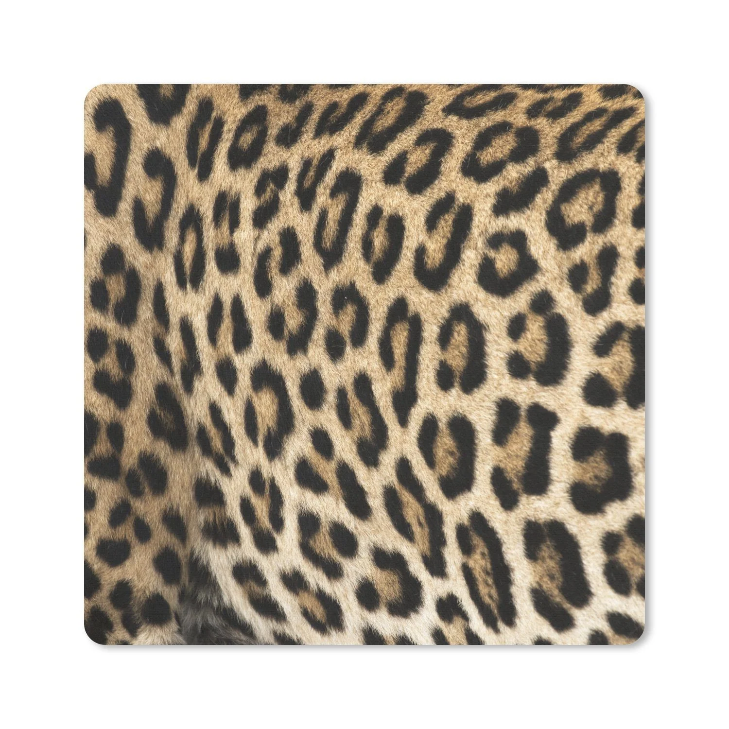 MUCHOWOW Mauspad „Panther-Schacht“