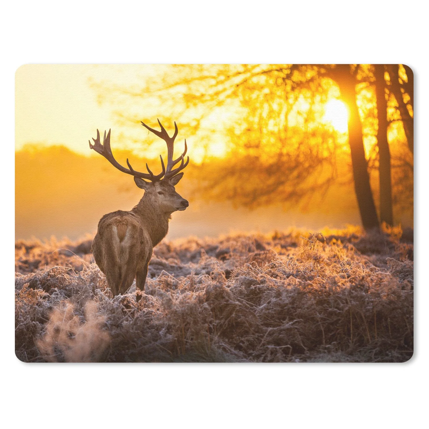 MUCHOWOW Mauspad „Hirsche – Sonnenuntergang – Winter – Natur“